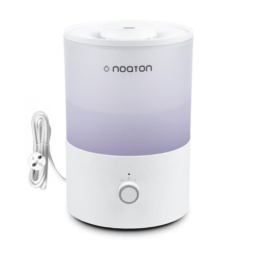 meilleur humidificateur plante