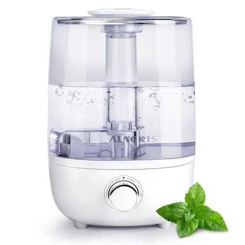 quel humidificateur dair maison choisir