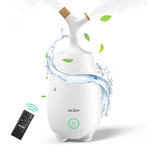 top humidificateur plante