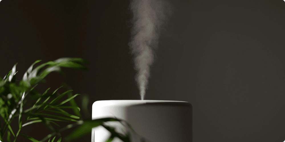 A quelle fréquence faut-il nettoyer votre humidificateur ?