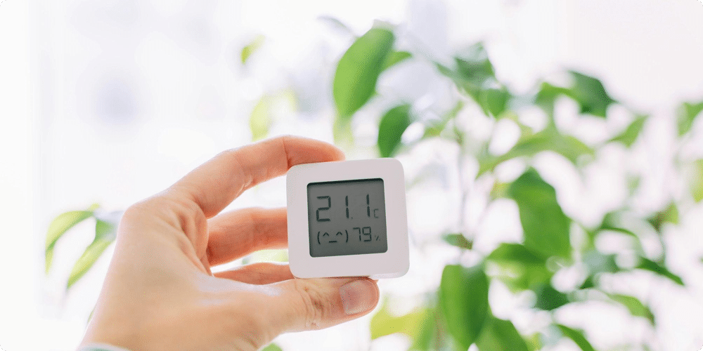 Comprendre l'humidité et son impact sur la santé
