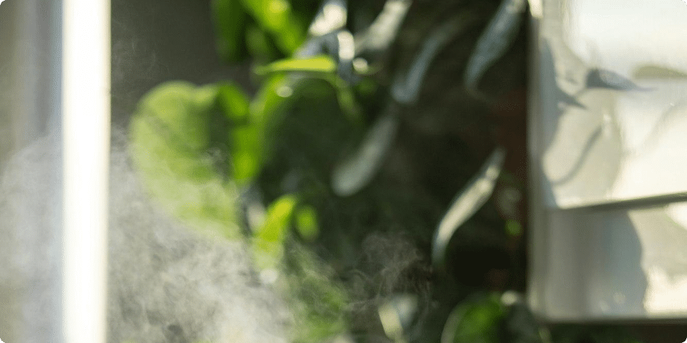 Avantages des humidificateurs à ultrasons