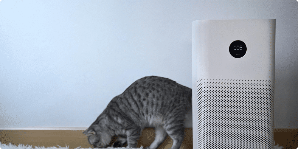Choisir le bon purificateur pour votre espace
