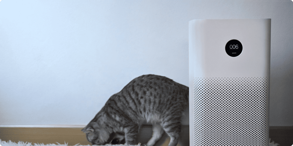 Critères de choix pour un purificateur d'air