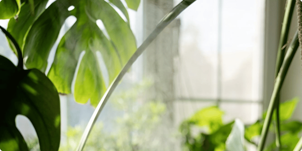 Critères pour choisir un humidificateur intelligent