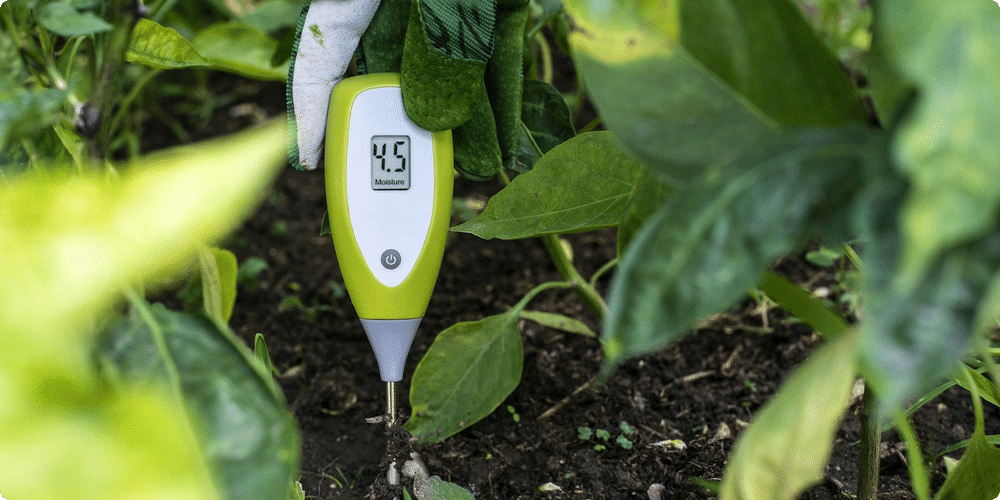 Guide complet pour installer correctement un testeur d'humidité