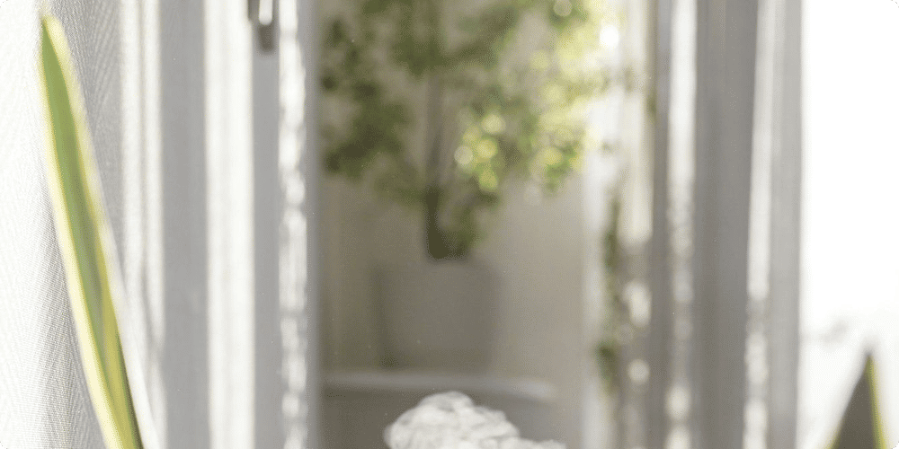 Choisir le bon humidificateur pour vos plantes