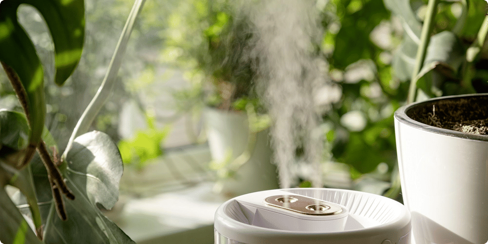 Comment intégrer un humidificateur dans votre intérieur