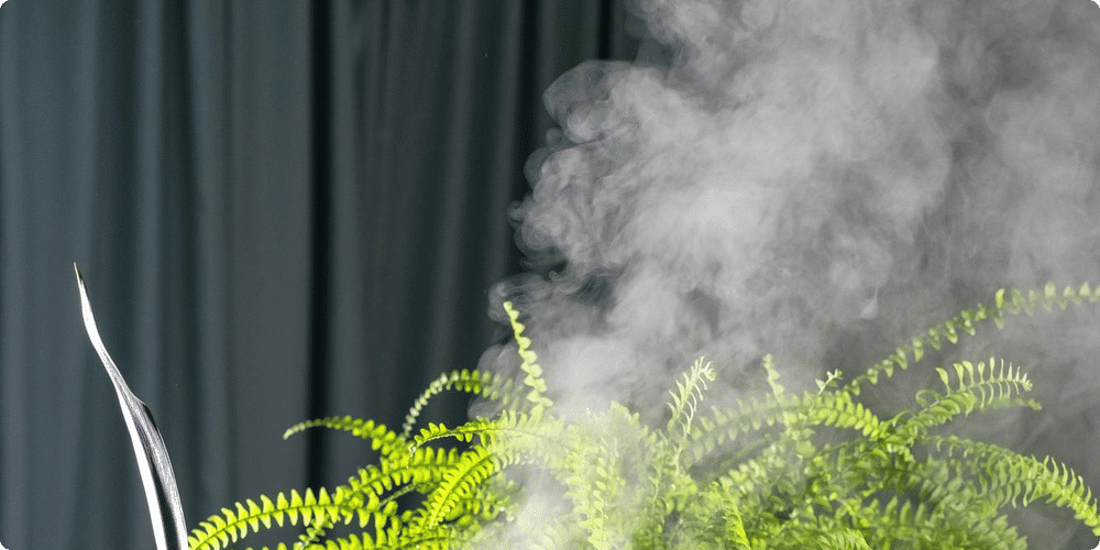 Comparatif des meilleurs humidificateurs à vapeur chaude
