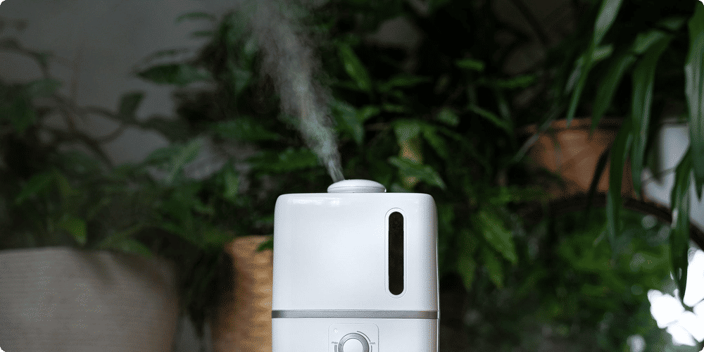 Entretien et maintenance des humidificateurs