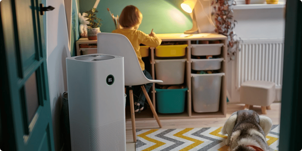Les avantages des purificateurs d’air pour les personnes allergiques