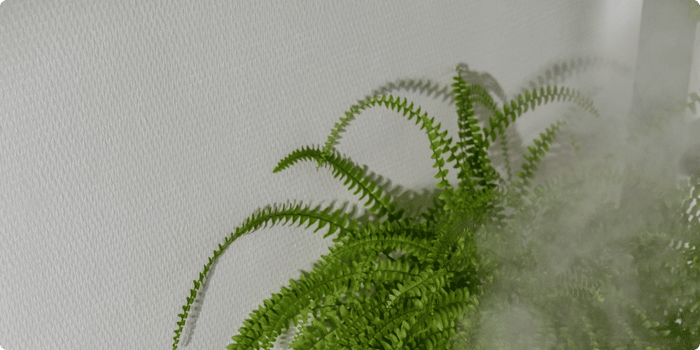 Quel emplacement choisir pour un humidificateur à évaporation ?