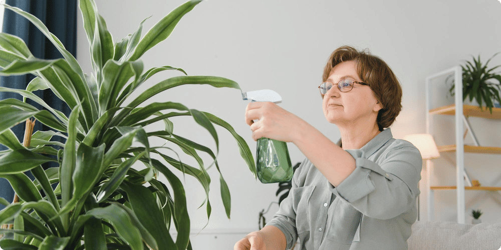 Les bienfaits d'un humidificateur bien entretenu