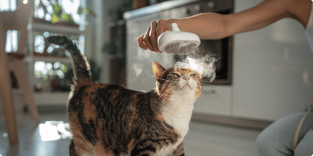 Les limites des humidificateurs