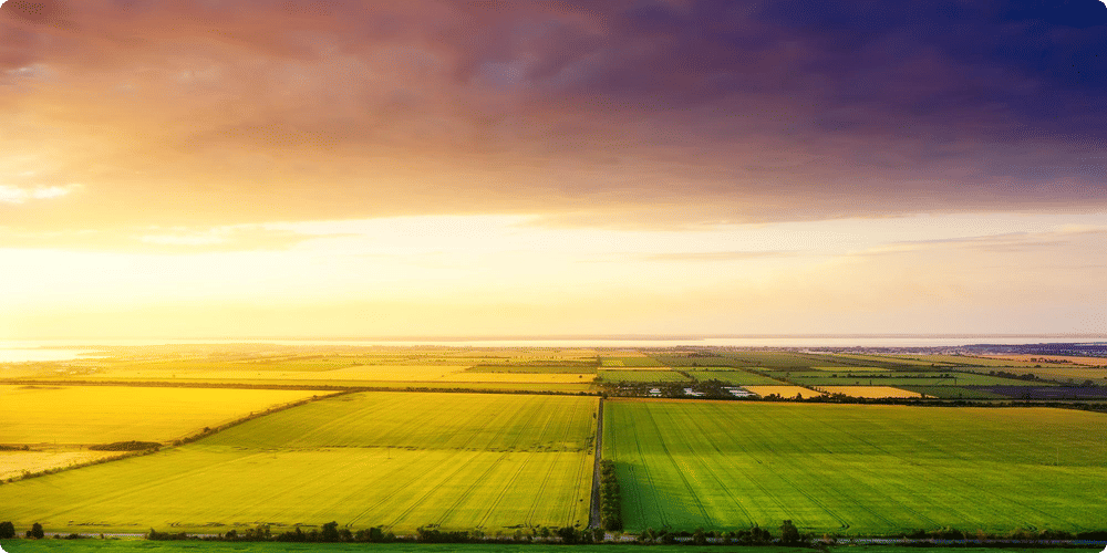 Pollution de l'air à la campagne : Mythe ou réalité ?