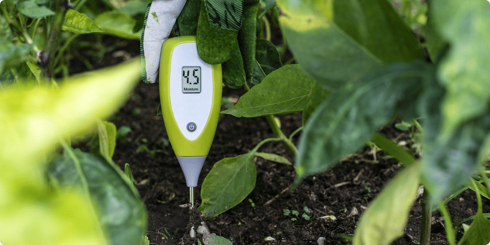 Le fonctionnement d'un testeur d'humidité expliqué