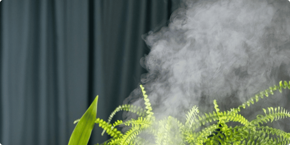 Comparaison avec d'autres types d'humidificateurs