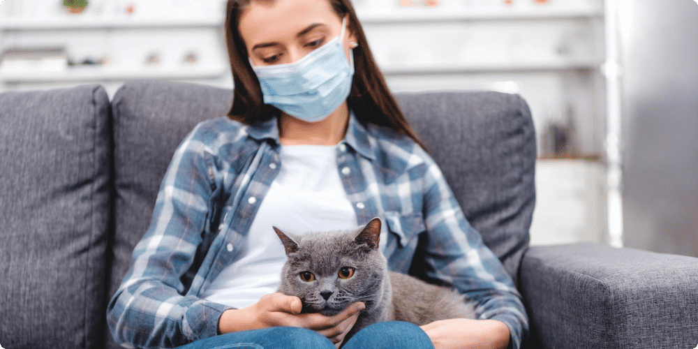 Les allergènes animaux : qu'est-ce que c'est et comment affectent-ils notre santé ?