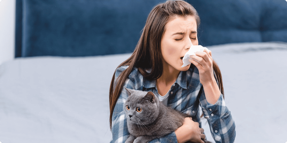 Purificateurs d'air : une solution efficace contre les allergènes animaux