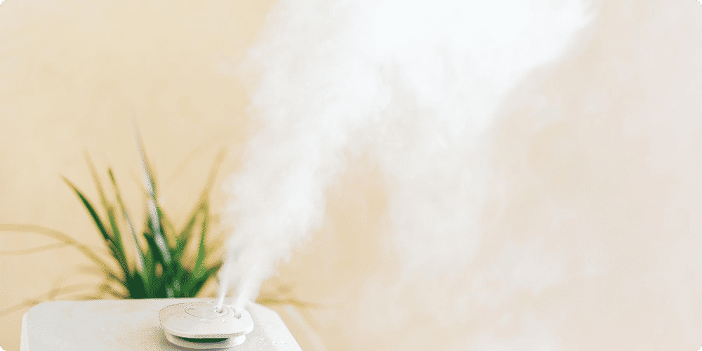Bonnes pratiques pour éviter les moisissures