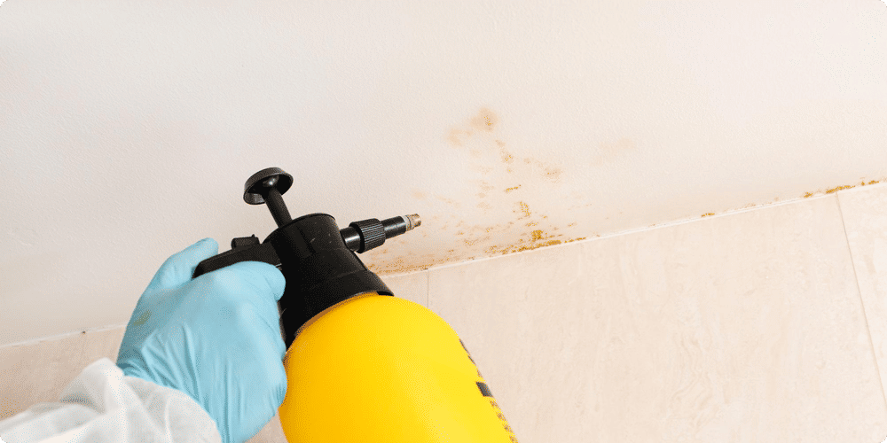 Causes du développement des moisissures