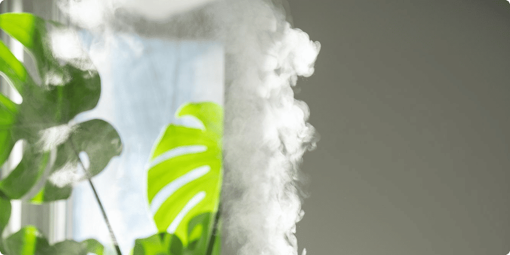 Choisir le bon humidificateur