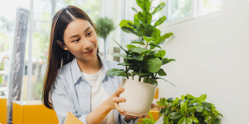 Fréquence et meilleures pratiques d'entretien