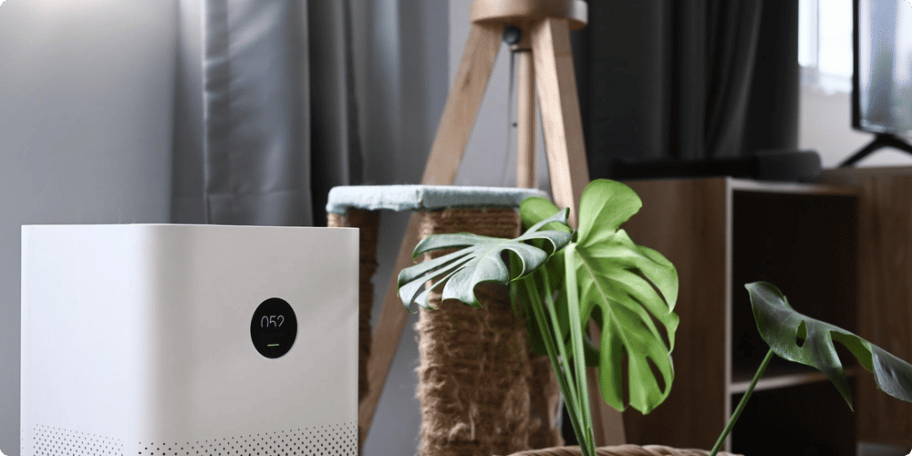 Comment purifier efficacement de grandes surfaces ?
