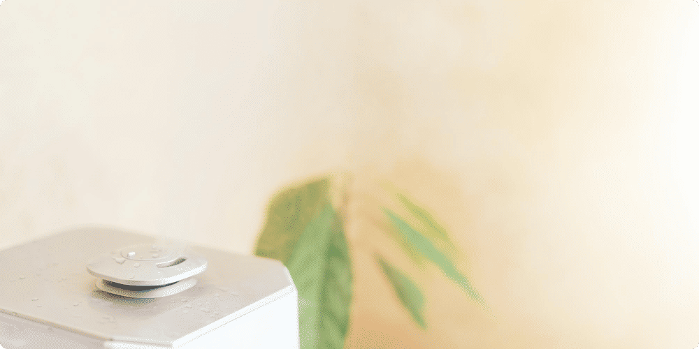 Prévenir les moisissures dans votre humidificateur