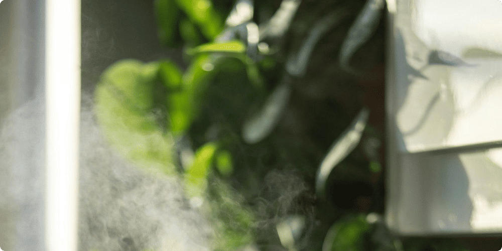 Comment choisir son humidificateur à ultrasons ?