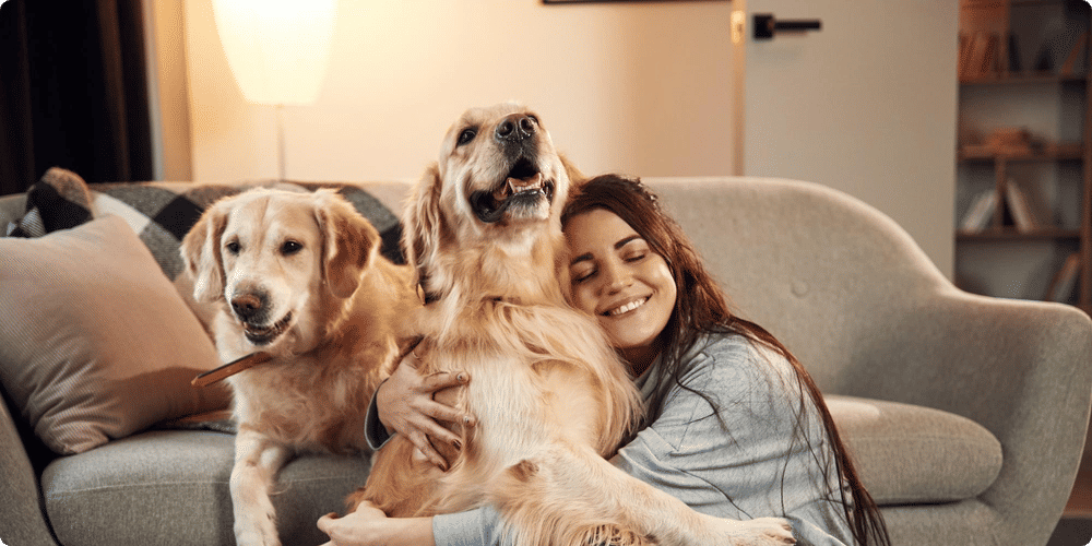 Comment intégrer des animaux pour purifier l'air