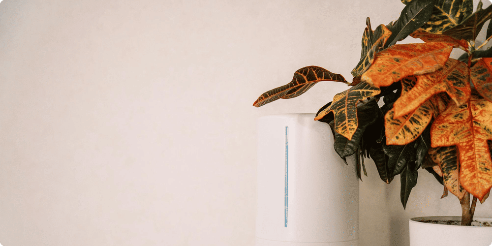 Les meilleurs humidificateurs à ultrasons pour votre maison