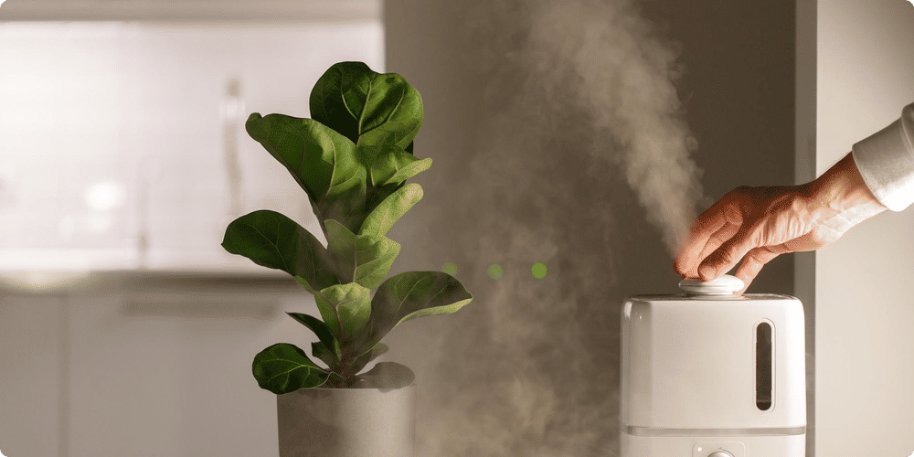 Entretien d'un humidificateur d'air