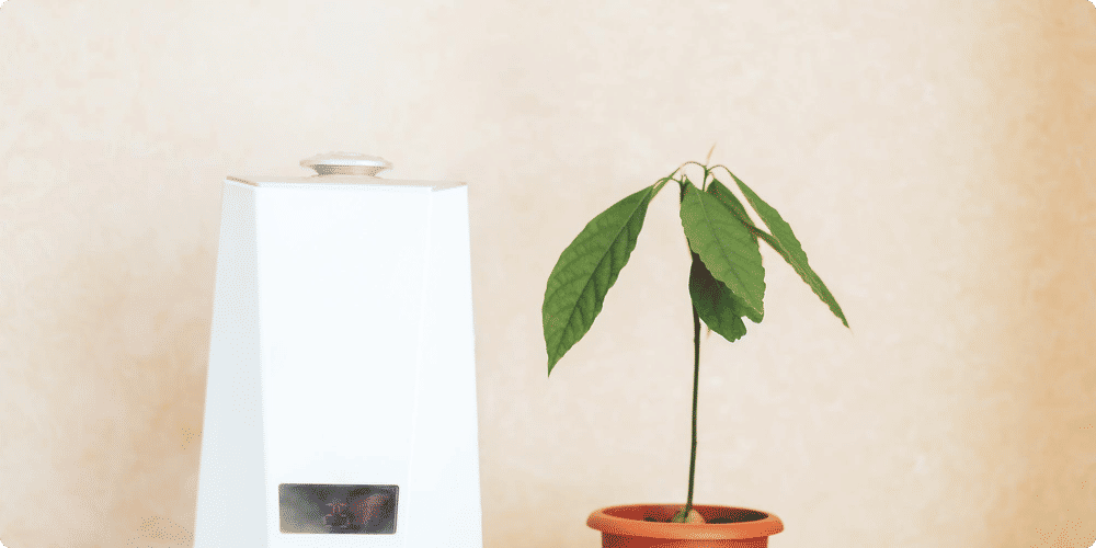 L'importance de l'humidité dans l'environnement intérieur