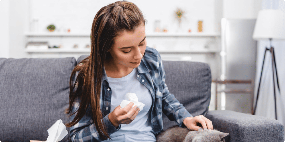 Techniques pour diminuer les allergènes de vos compagnons à quatre pattes