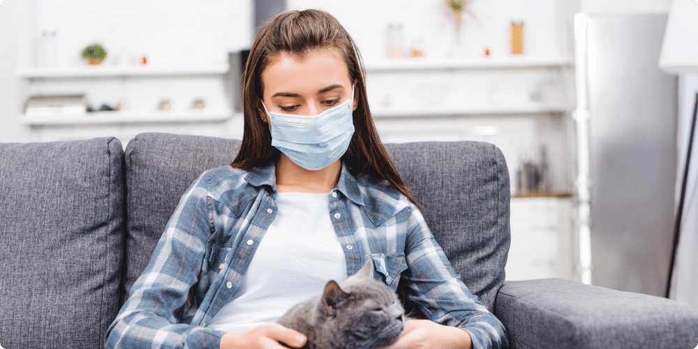 Soins réguliers à apporter à votre animal